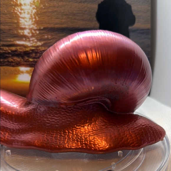 A Unique Resin Piece ,Snail Art - Picture 7 of 12